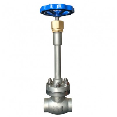 Cryogenic Globe Valve