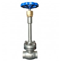 CRYOGENIC GLOBE VALVE